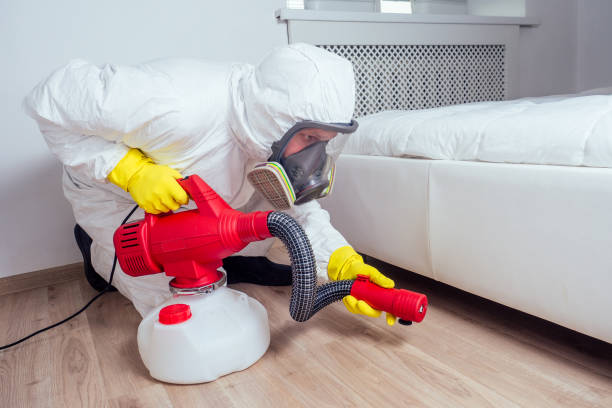 Best Pest Control Treatment  in Dolgeville, NY