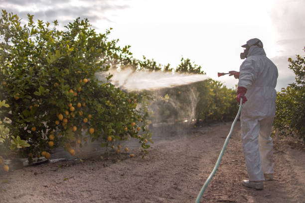 Best Pest Removal Services  in Dolgeville, NY
