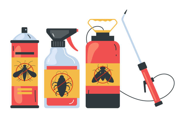Trusted Dolgeville, NY Pest Control Experts